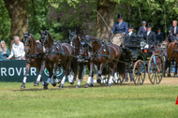 2018-05-Windsor-Boyd-Exell-4338.jpg
